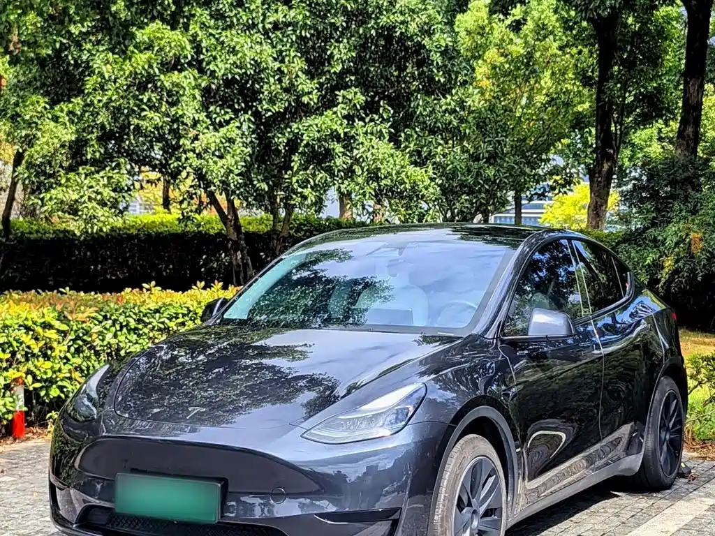 Tesla Model Y — фото 1