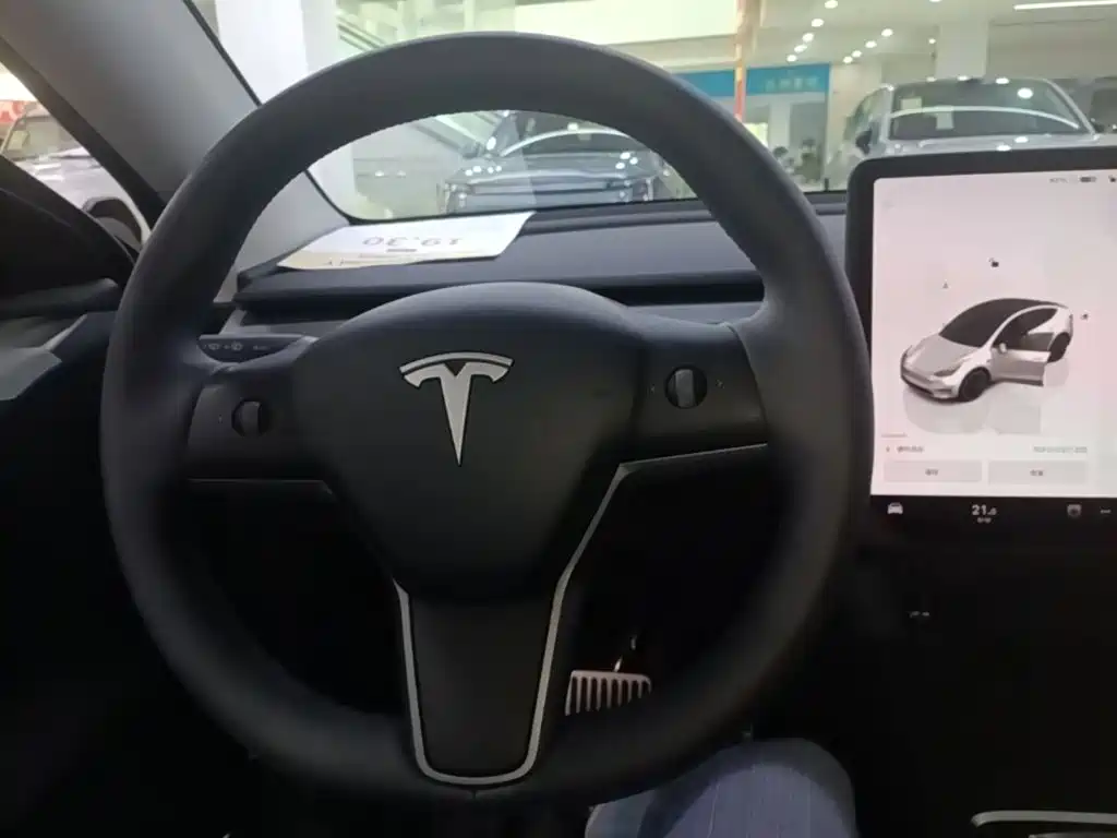 Tesla Model Y — фото 11
