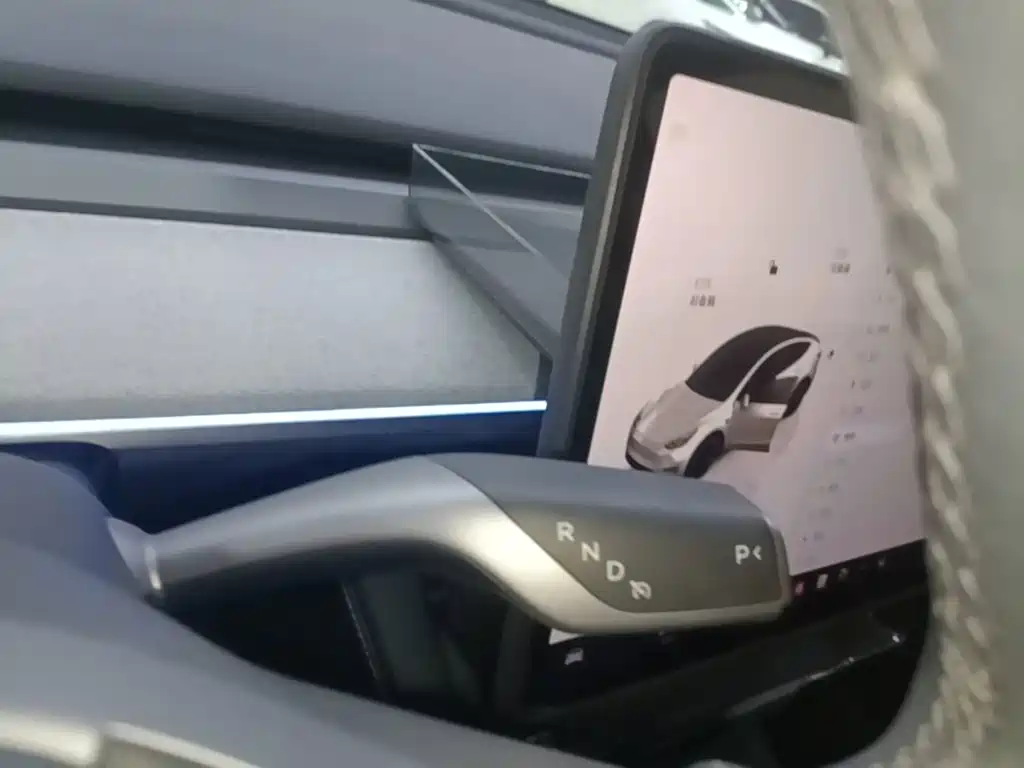 Tesla Model Y — фото 14