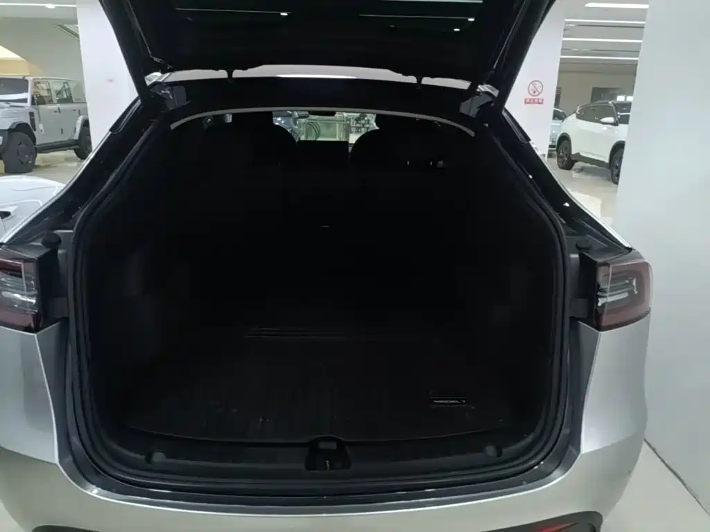 Tesla Model Y — фото 19