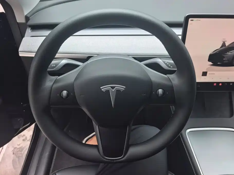 Tesla Model Y — фото 15