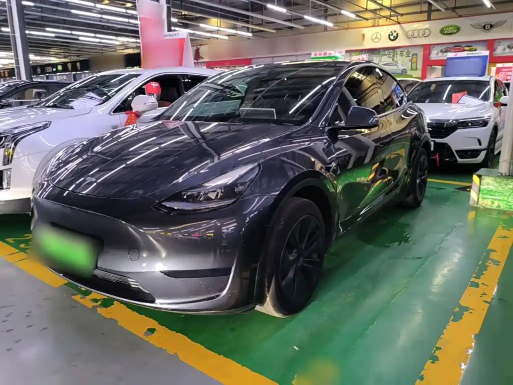 Tesla Model Y — фото 2
