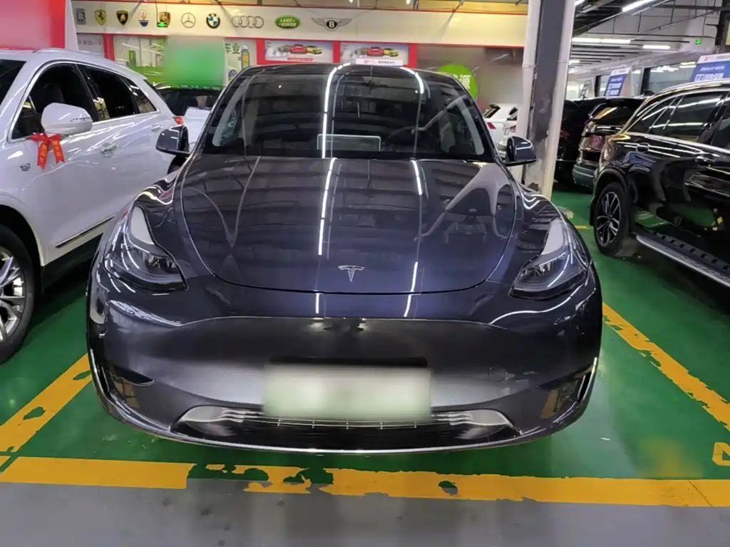 Tesla Model Y — фото 3