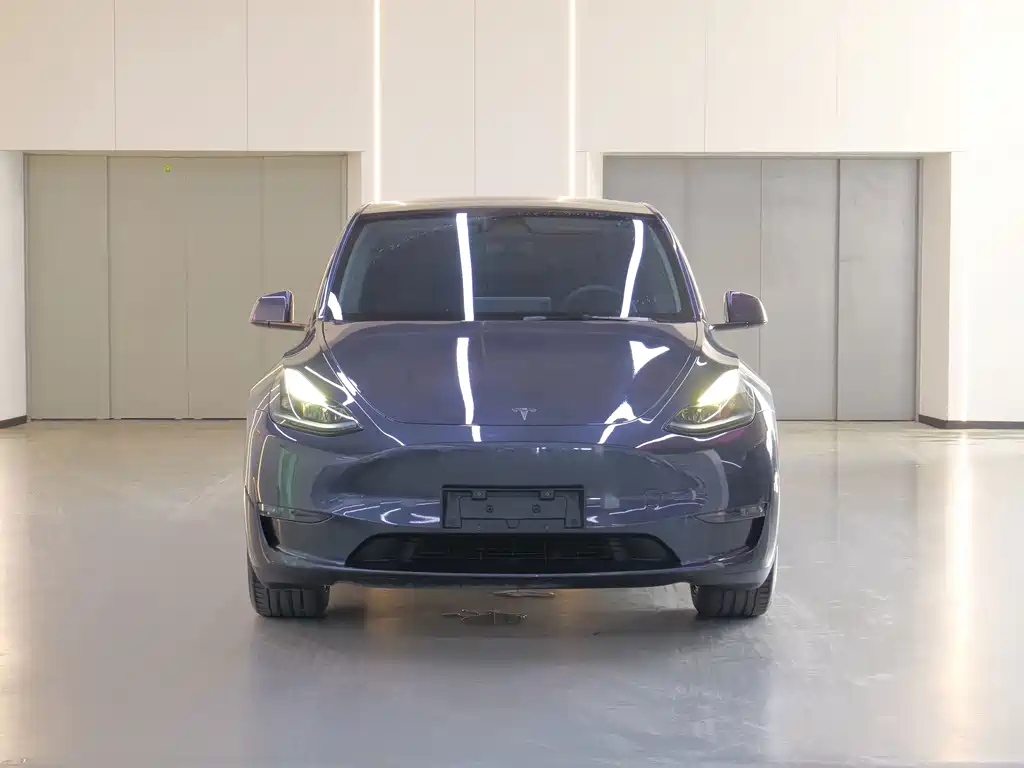 Tesla Model Y — фото 2