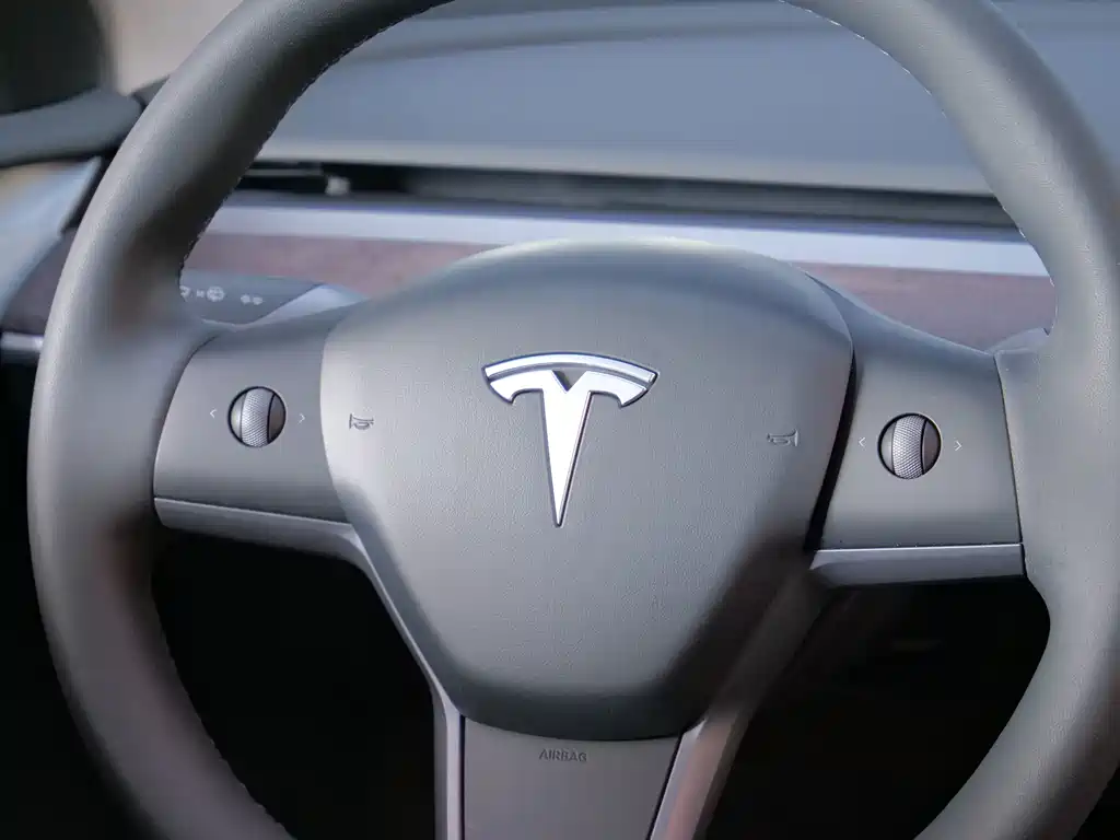 Tesla Model Y — фото 14