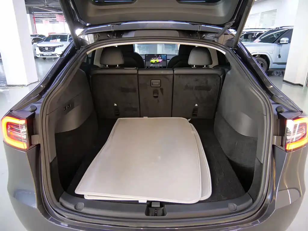 Tesla Model Y — фото 18