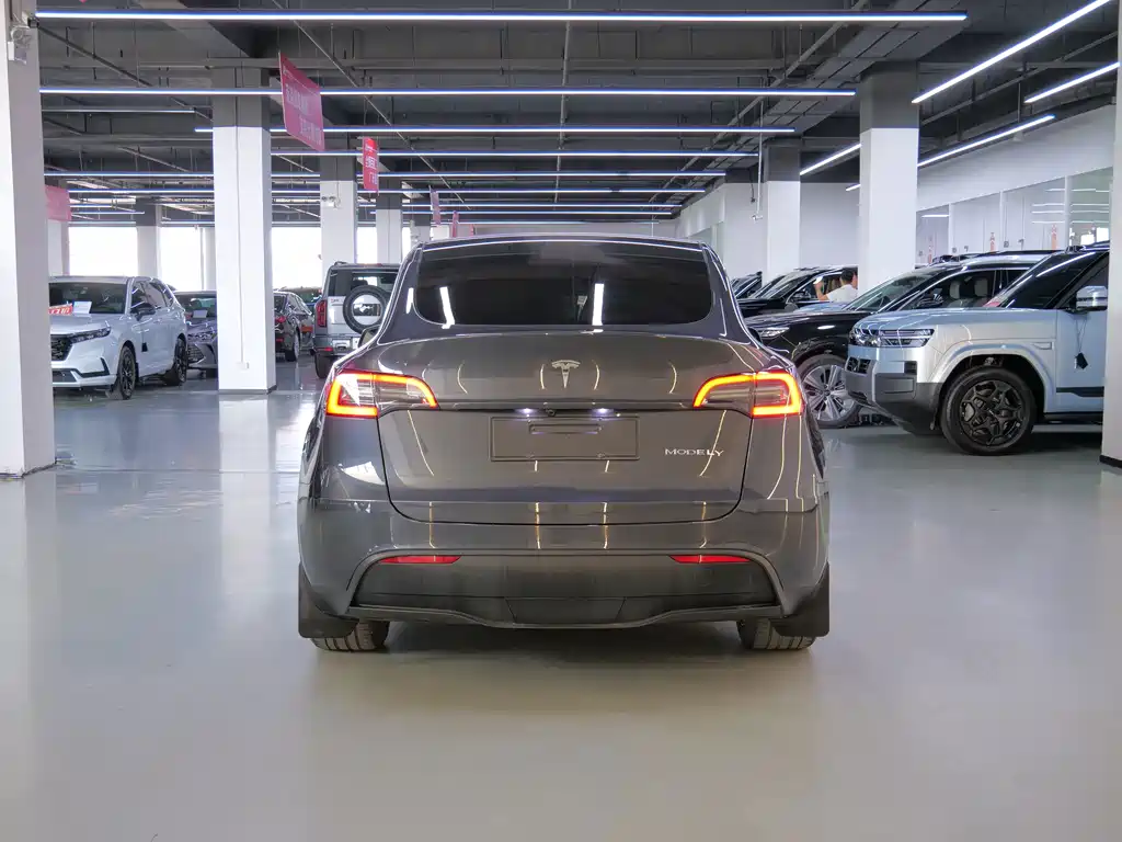 Tesla Model Y — фото 7