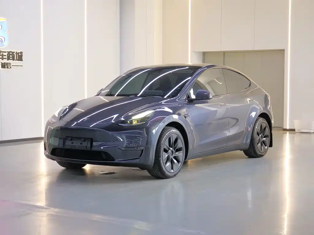 Tesla Model Y — фото 1