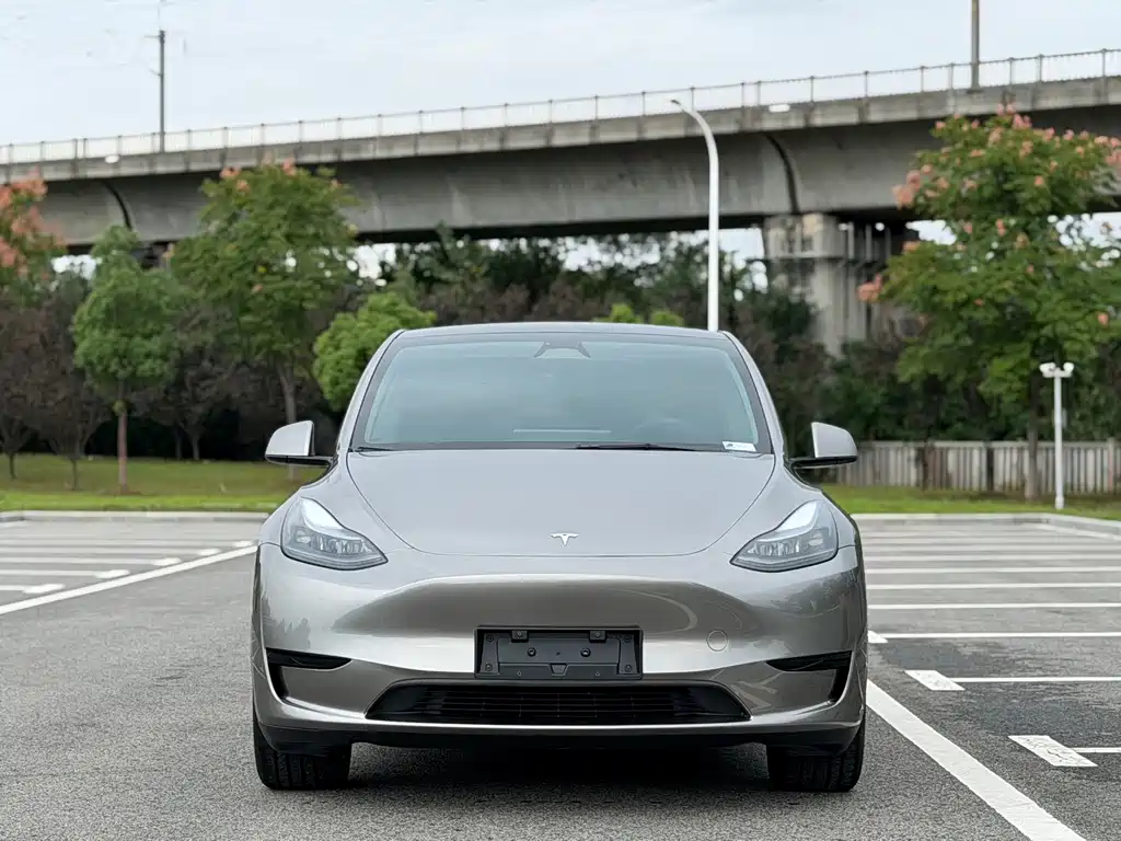 Tesla Model Y — фото 2