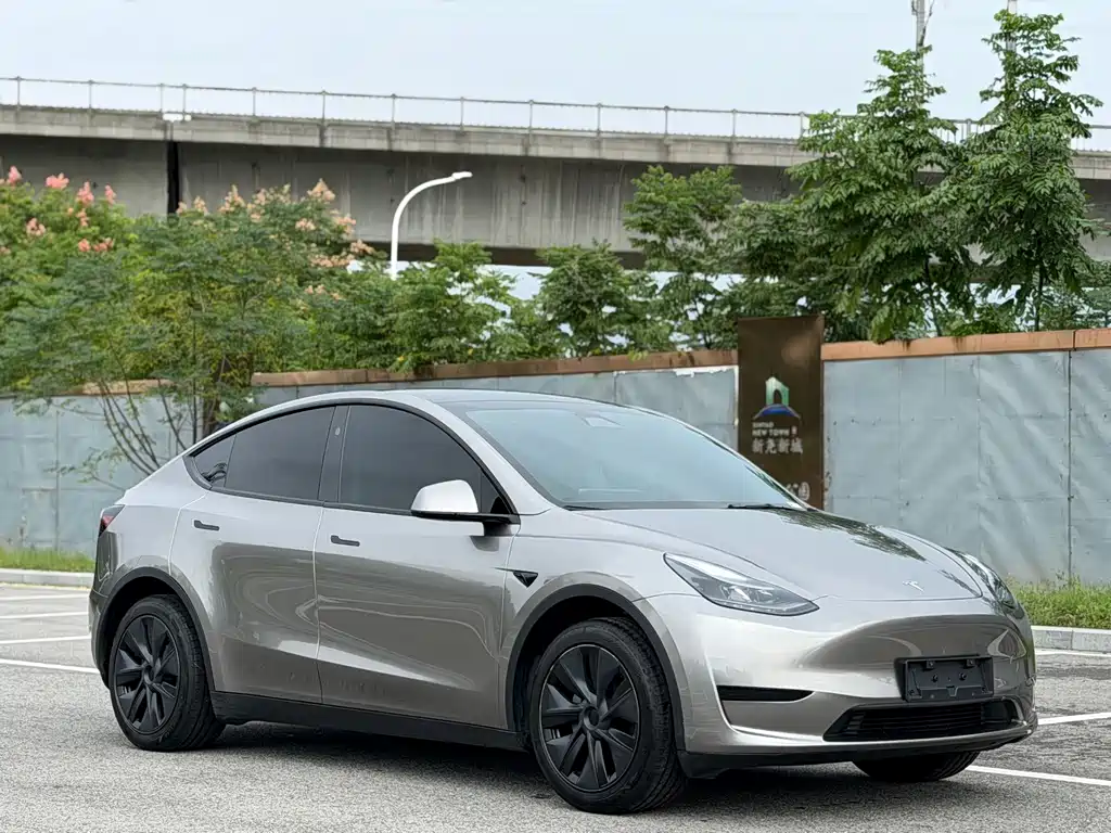 Tesla Model Y — фото 3