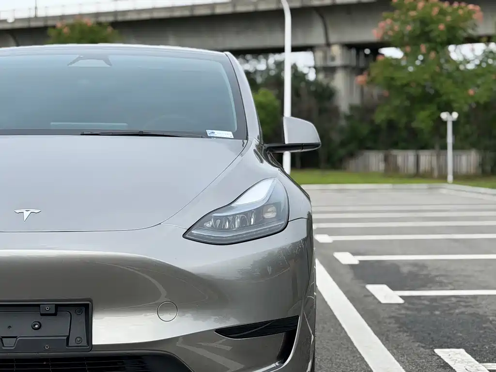 Tesla Model Y — фото 23