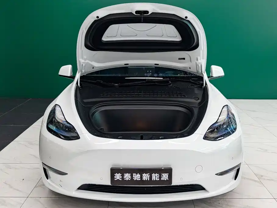 Tesla Model Y — фото 5