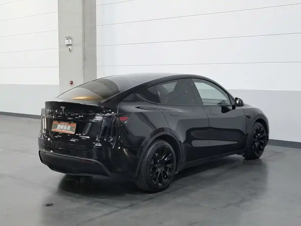 Tesla Model Y — фото 2
