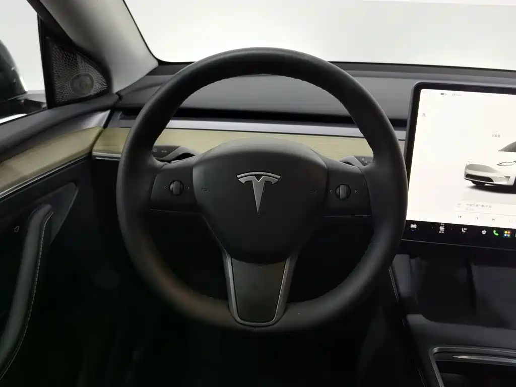 Tesla Model Y — фото 11