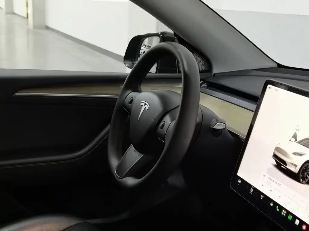 Tesla Model Y — фото 22