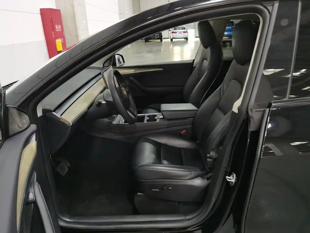 Tesla Model Y — фото 10
