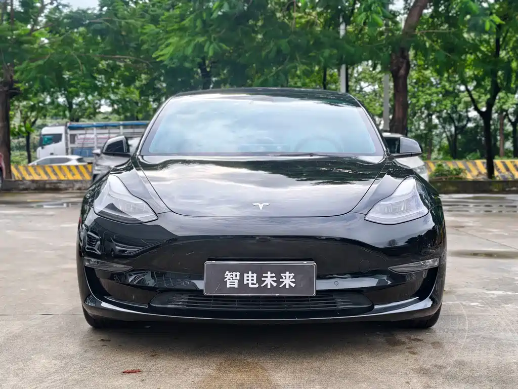 Tesla Model 3 — фото 2