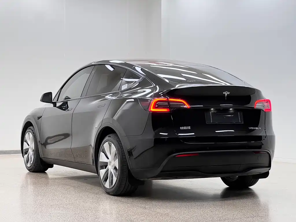 Tesla Model Y — фото 4
