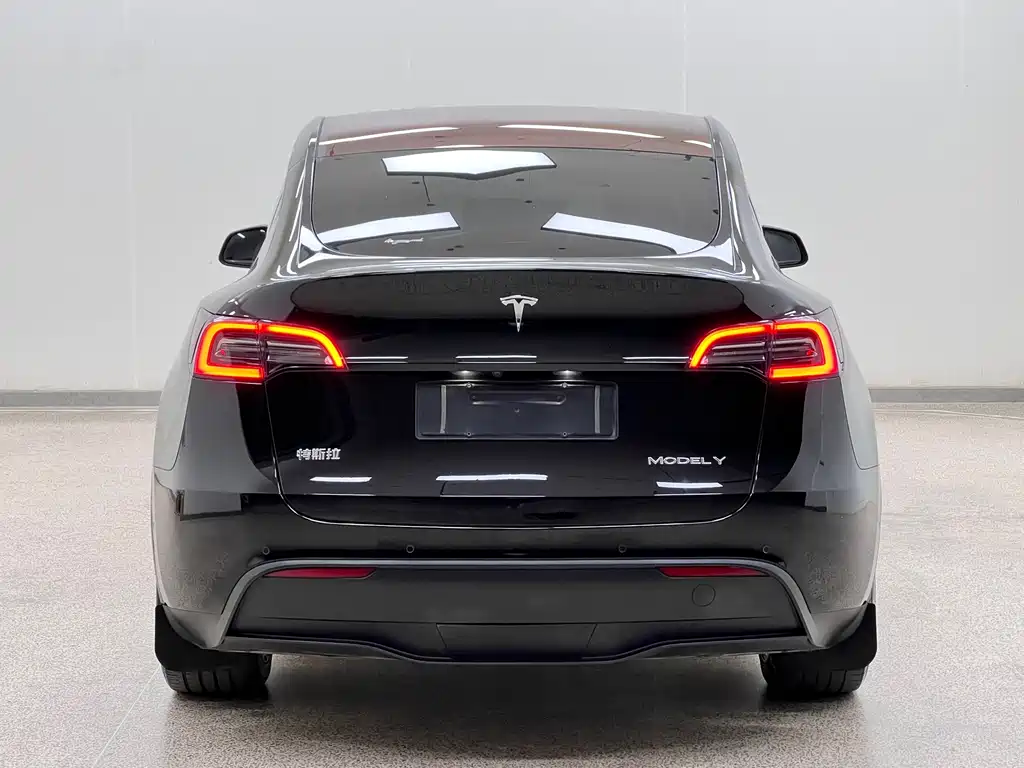 Tesla Model Y — фото 5