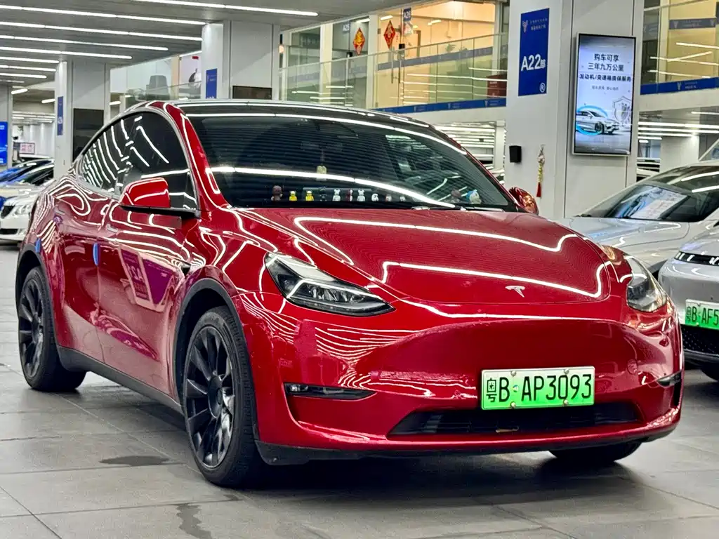 Tesla Model Y — фото 3