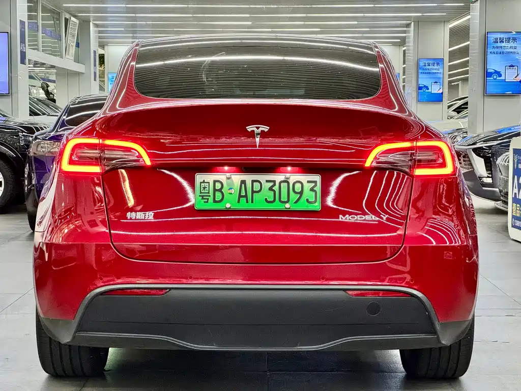 Tesla Model Y — фото 8