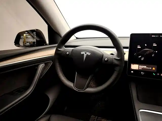 Tesla Model Y — фото 11
