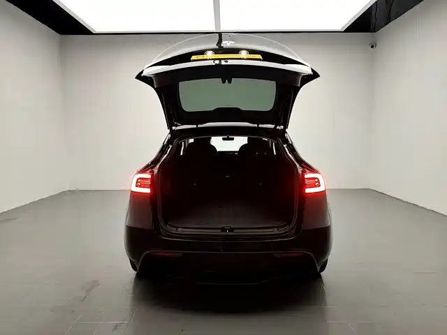 Tesla Model Y — фото 15