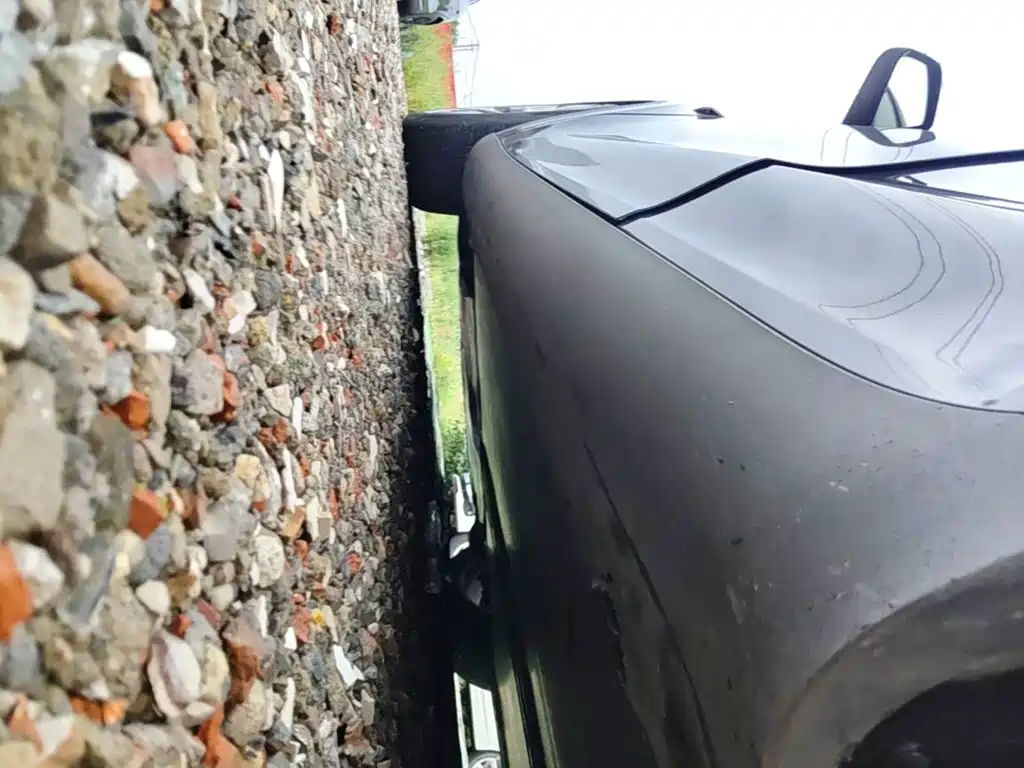 Tesla Model Y — фото 22
