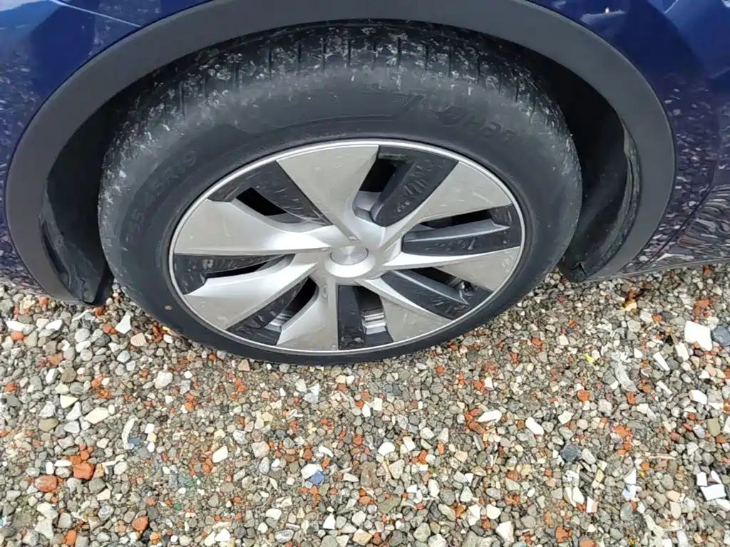Tesla Model Y — фото 23