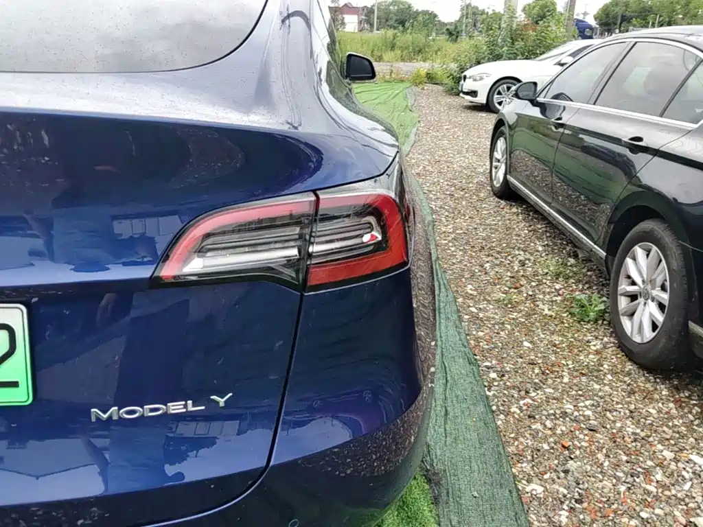 Tesla Model Y — фото 8