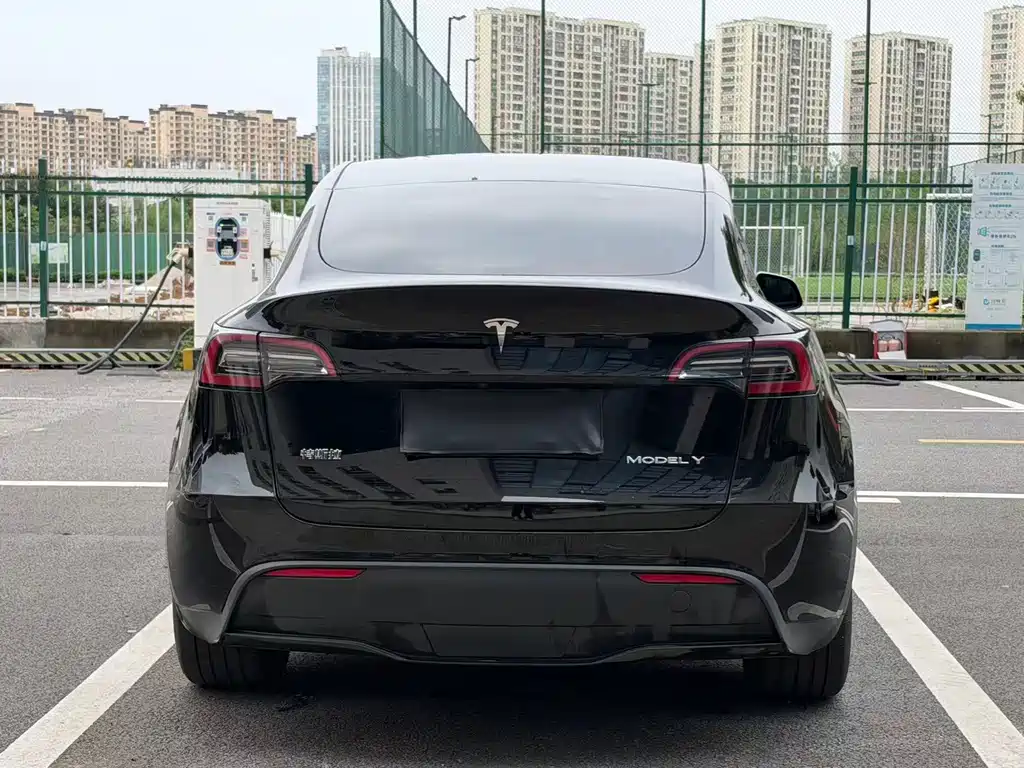 Tesla Model Y — фото 5