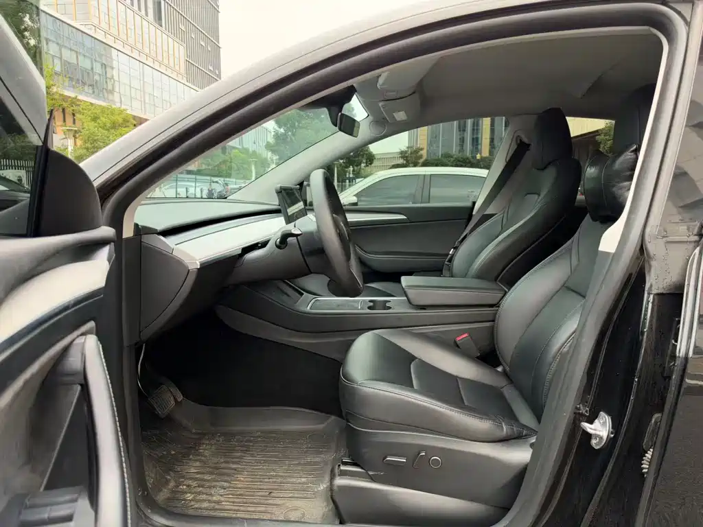 Tesla Model Y — фото 10