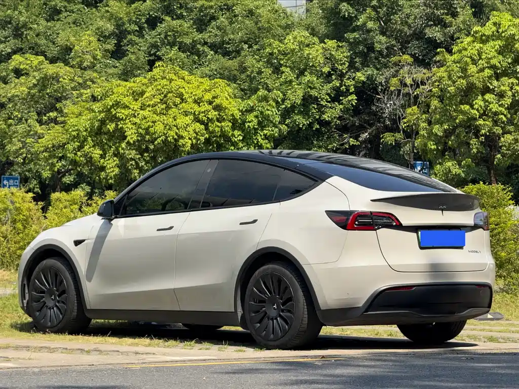 Tesla Model Y — фото 15