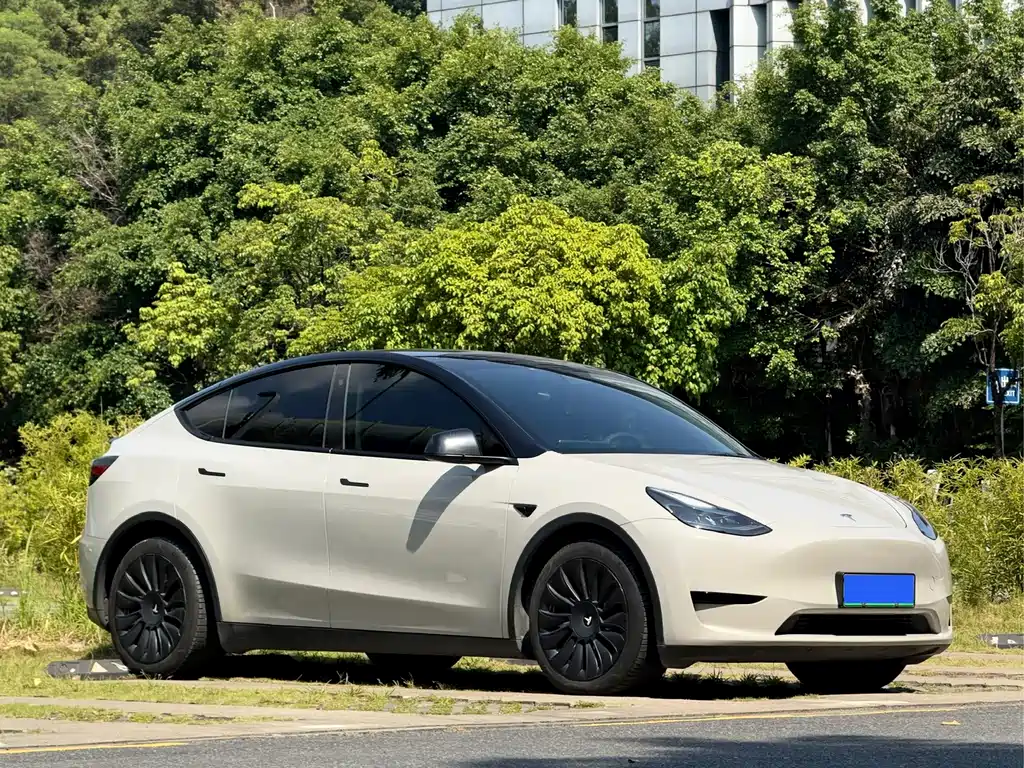Tesla Model Y — фото 3
