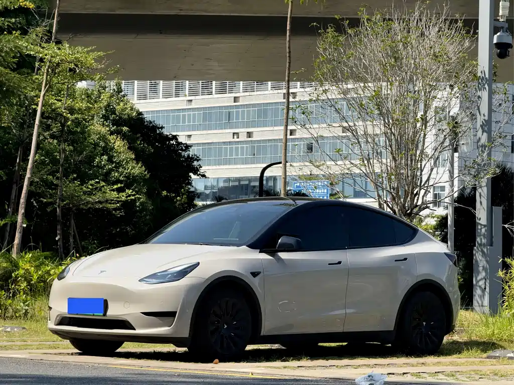 Tesla Model Y — фото 1
