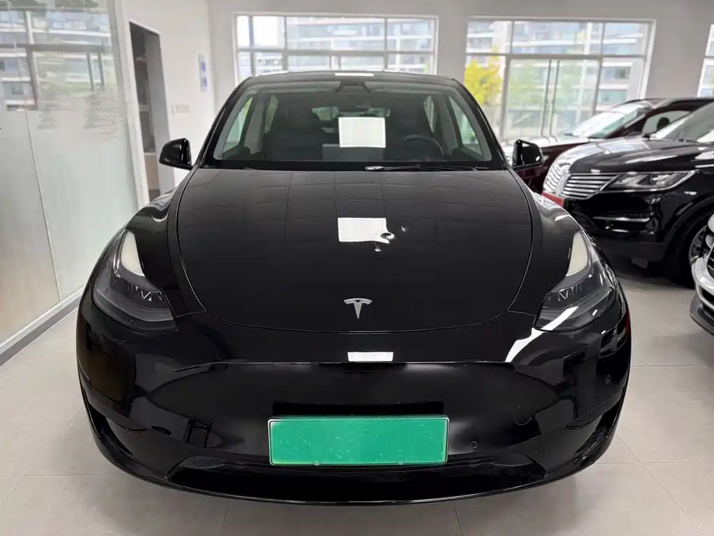 Tesla Model Y — фото 2