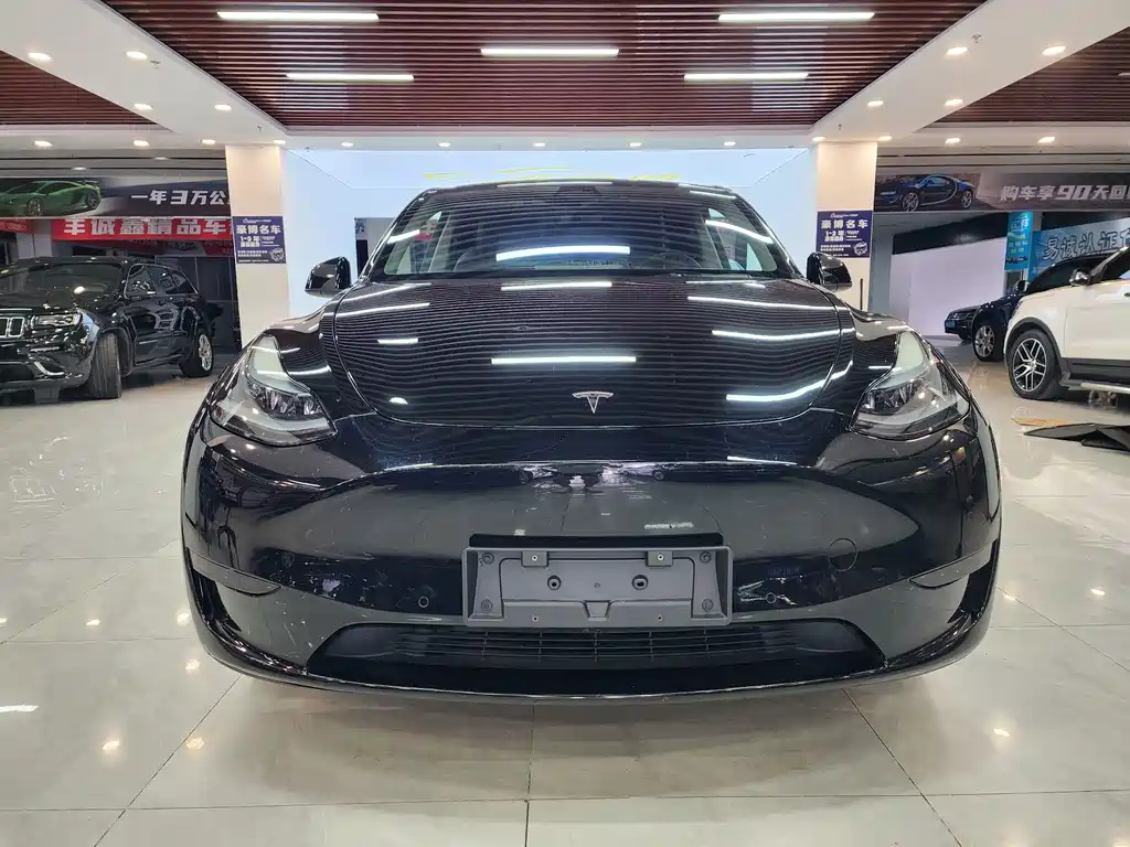 Tesla Model Y — фото 2