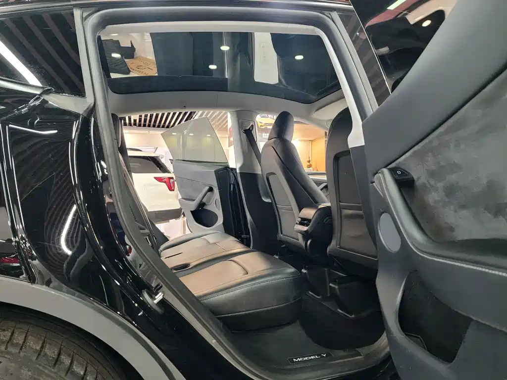 Tesla Model Y — фото 14