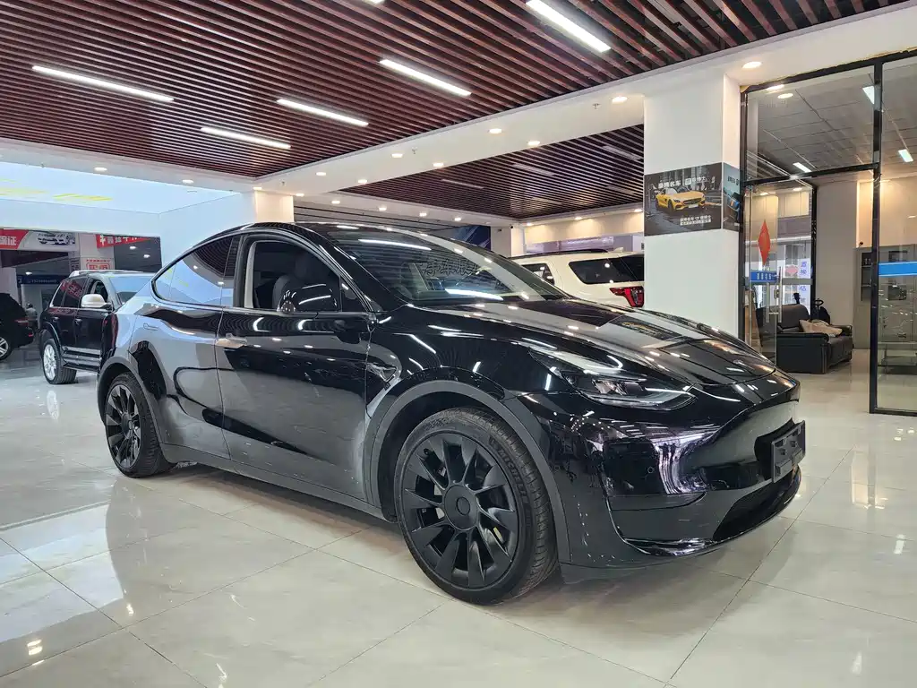 Tesla Model Y — фото 3