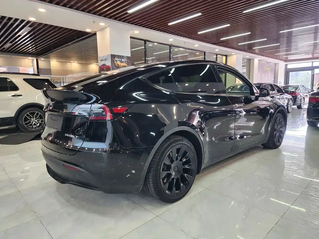 Tesla Model Y — фото 6