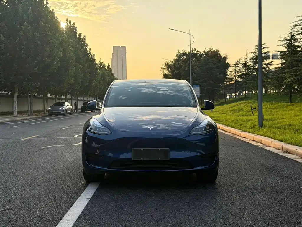 Tesla Model Y — фото 2