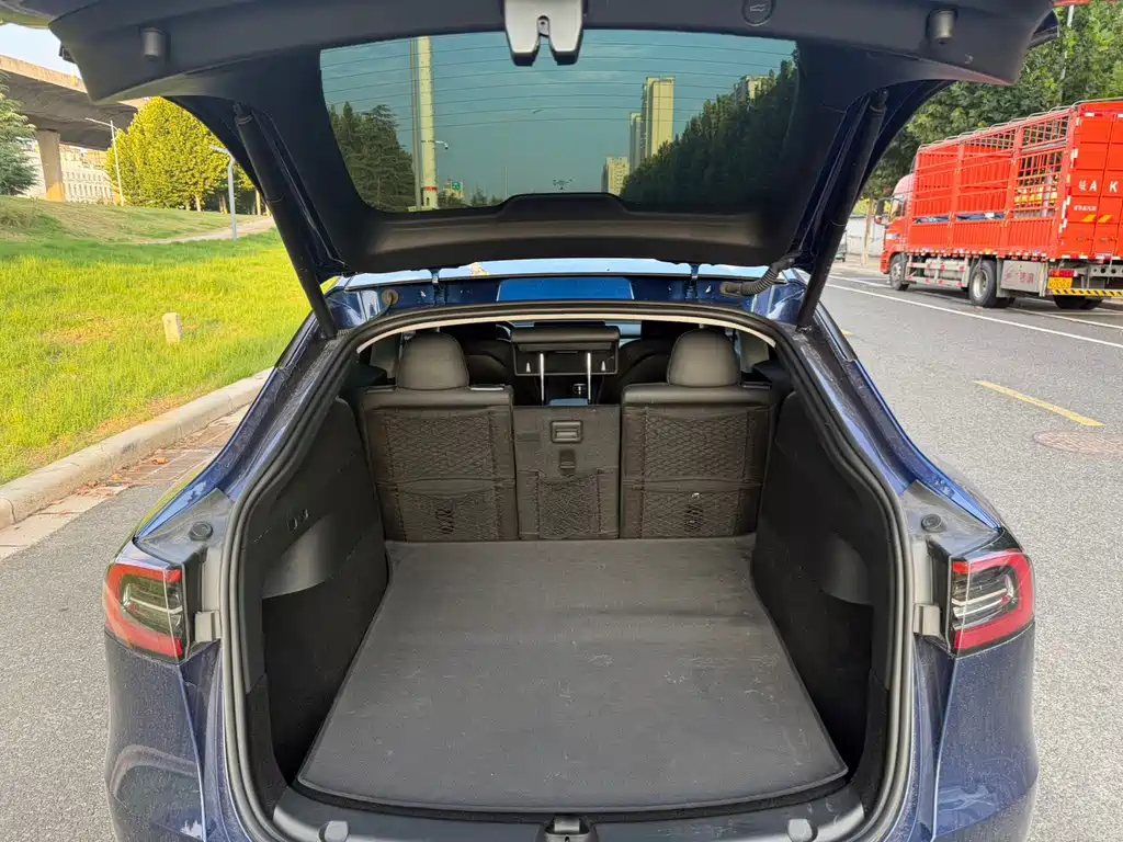 Tesla Model Y — фото 11
