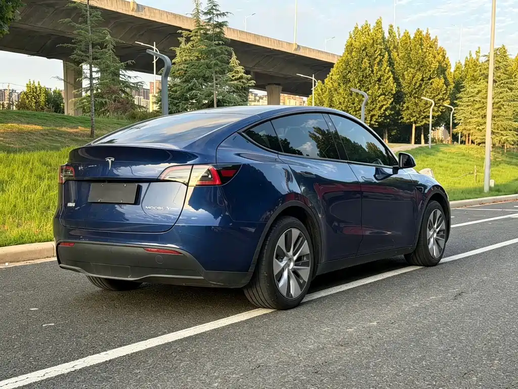 Tesla Model Y — фото 15