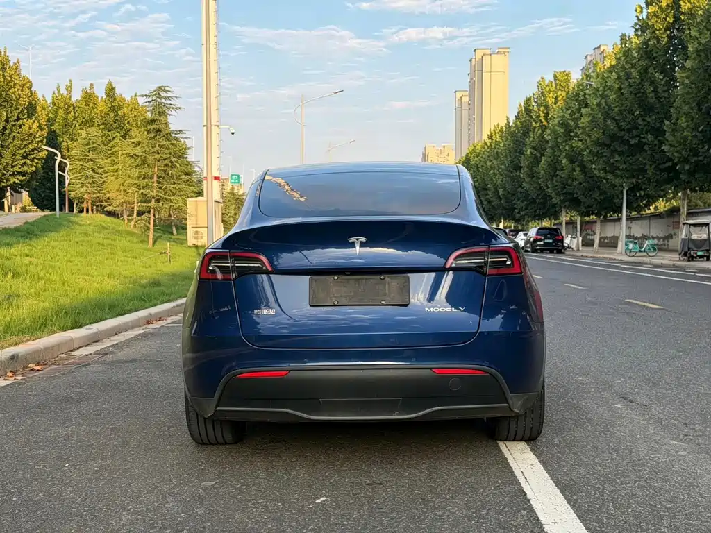 Tesla Model Y — фото 16