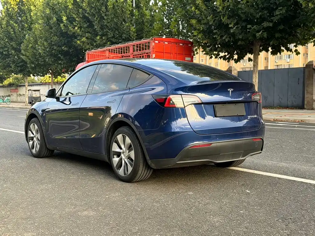 Tesla Model Y — фото 17