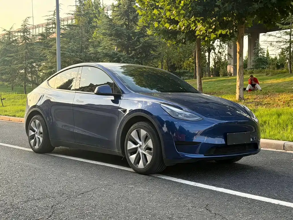 Tesla Model Y — фото 3