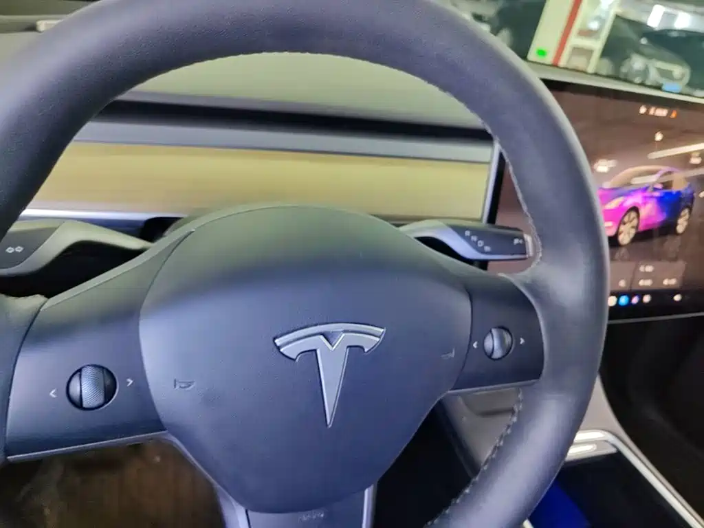 Tesla Model Y — фото 14
