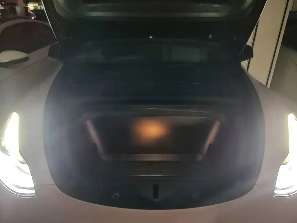 Tesla Model Y — фото 20