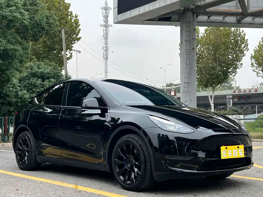 Tesla Model Y — фото 2