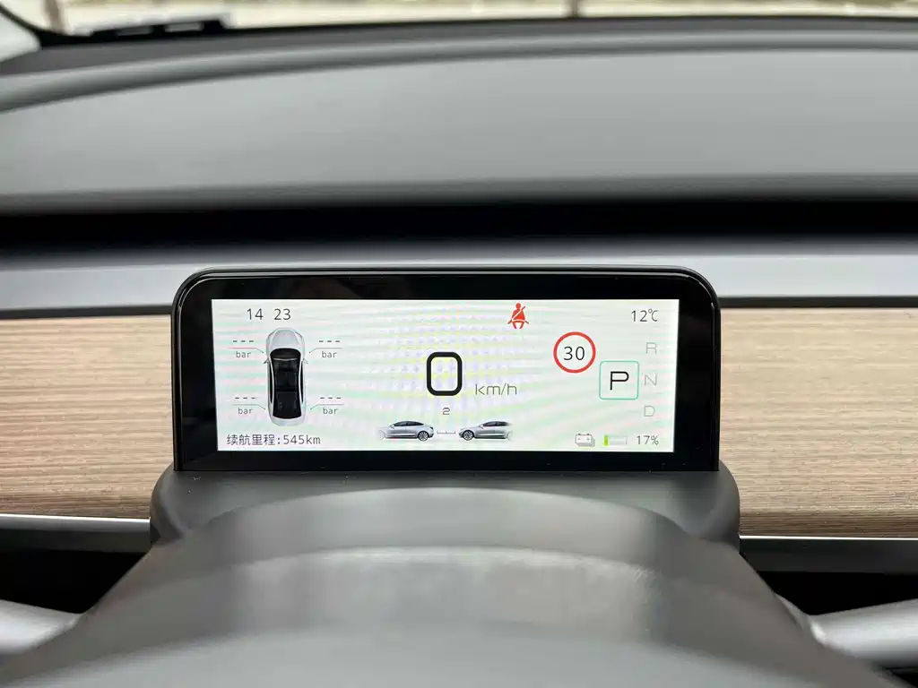 Tesla Model Y — фото 14